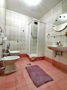 y baño con aseo, lavabo y ducha. en Apartments Špik en Cerkno