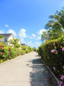 uma estrada com flores e palmeiras ao lado em Terracotta Enterprise - Gated Community Home em Christ Church
