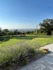 un jardín con flores púrpuras y el puente Golden Gate en el fondo en Apartment ZEN, en Zgornje Škofije