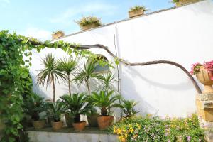 Afbeelding uit fotogalerij van Trappitu dei Settimi in Marittima