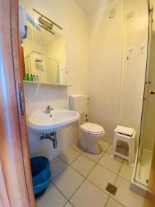 a bathroom with a sink and a toilet and a shower at Albergo California in Lesina