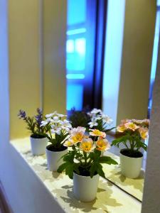 Fotografia z galérie ubytovania Comfort Apartment 2 rooms 65m2 vo Varšave