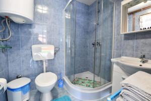 a bathroom with a shower and a toilet and a sink at Natura hause in Rakovica