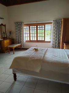 a bedroom with a large bed and a window at Zuri Enterprise in Negril