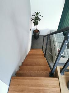 科尔丘拉Guesthouse Korkyra Sun的相册照片