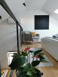 Guesthouse Korkyra Sun的电视和/或娱乐中心