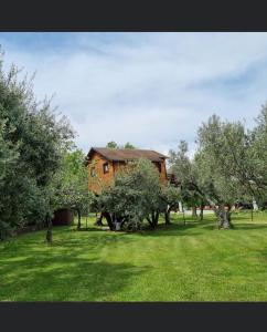 una casa en medio de un campo con árboles en Palazzo Conforti Tree House Resort en Marano Marchesato