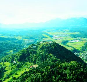 z góry widok na zielone wzgórze z drzewami w obiekcie Hotel Bellevue w mieście Kranj