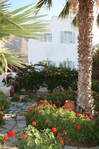 Kebun di luar SPIROS & HIROKO Hotel - ADULTS ONLY