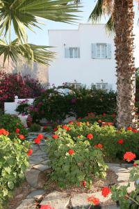 Kebun di luar SPIROS & HIROKO Hotel - ADULTS ONLY