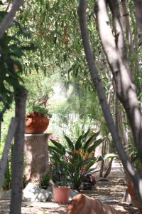Kebun di luar SPIROS & HIROKO Hotel - ADULTS ONLY