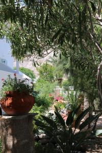 Kebun di luar SPIROS & HIROKO Hotel - ADULTS ONLY