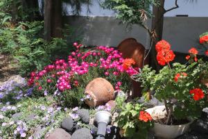 Kebun di luar SPIROS & HIROKO Hotel - ADULTS ONLY