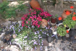 Kebun di luar SPIROS & HIROKO Hotel - ADULTS ONLY