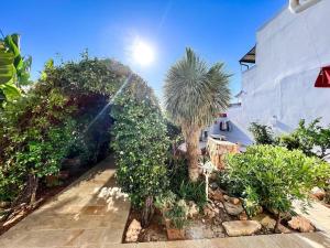 a garden with palm trees and bushes next to a building at Casa Comada - Torre Lapillo in Torre Lapillo