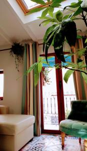ein Wohnzimmer mit einer Pflanze vor dem Fenster in der Unterkunft Quacketta in Villajoyosa