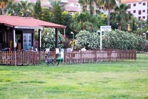 Ein Garten an der Unterkunft Apartamentos Be Suites Mar de Azahar