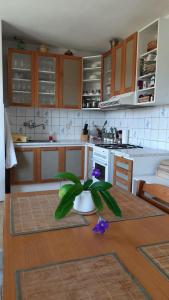 Kuchyň nebo kuchyňský kout v ubytování Apartmán Levandule
