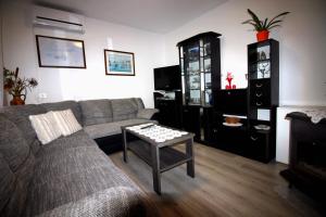 TV a/nebo společenská místnost v ubytování Apartment Leana Selce