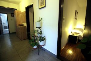 Fotografie z fotogalerie ubytování Apartment Leana Selce v destinaci Selce