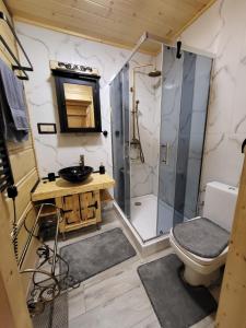 Kúpeľňa v ubytovaní Domek przy skalniaku