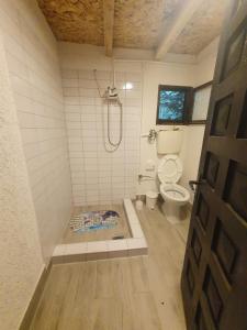 un bagno con doccia e WC di Sastanci-Grahovaca a Rožaje