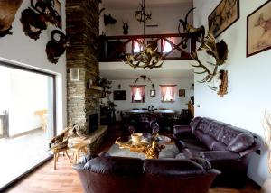 Vila Pellegrini في أراندجيلوفاك: غرفة معيشة مع كنب جلدي ومدفأة