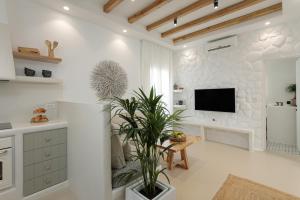 Televízia a/alebo spoločenská miestnosť v ubytovaní Kamvas Deluxe Apartments