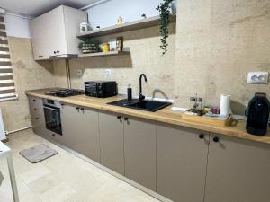 a kitchen with a sink and a microwave at Tudor's Mountain Retreat in Câmpina