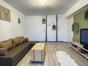 a living room with a couch and a tv at Tudor's Mountain Retreat in Câmpina