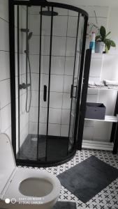 eine Dusche mit Glastür im Bad in der Unterkunft Ubytovaní V sadu in Stará Červená Voda
