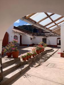 una fila de plantas en macetas en un invernadero en Hospedaje Killipata en Cuzco