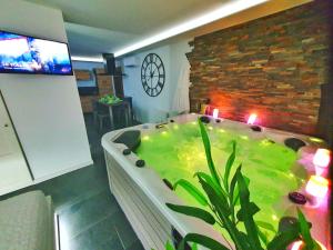 Televízia a/alebo spoločenská miestnosť v ubytovaní COCOON SPA-4 Pers-Jacuzzi-Parking-Jardin-Clim-Colmar