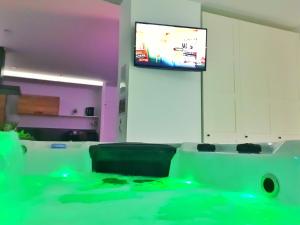 Televízia a/alebo spoločenská miestnosť v ubytovaní COCOON SPA-4 Pers-Jacuzzi-Parking-Jardin-Clim-Colmar