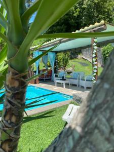 a palm tree in front of a swimming pool at Turismo Homes Quinta Leiras de Mondim in Pico