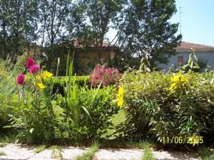 Zahrada ubytování B&B Il Parco