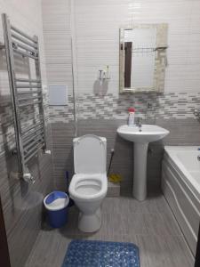 Уютная 2-х комнатная квартира 82м2 в Центре города! في بوكسورو: حمام مع مرحاض ومغسلة