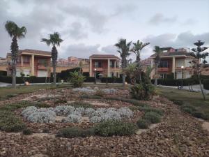 エル・アラメインにあるStand alone Villa at Blumar North coast -SIDI ABD ALRAHMANのヤシの木が茂る建物前の庭園