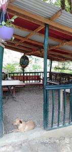 Gallery image of Raw Camping at Camping Paradise Singalong Mountain Garden in Antipolo
