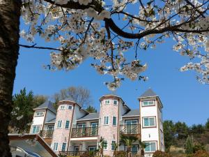 an image of a building withakura trees in front at Beljari Pension in Tongyeong