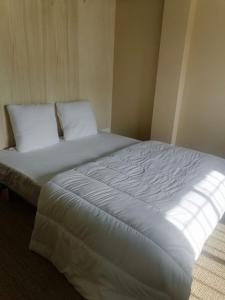 a large white bed with two pillows in a room at Le Galion -1er Ligne Vue Mer Classe3*+parking in Canet-en-Roussillon