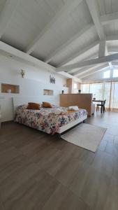 a bedroom with a large bed in a room at Santa Venere Apartments "Parcheggio privato" in Tropea