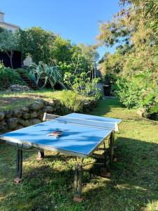 a blue ping pong table in the grass at F2 avec jacuzzi, pétanque, à 3 min mer, dans grande propriété in Porticcio