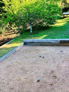 a group of cups on the ground in a park at F2 avec jacuzzi, pétanque, à 3 min mer, dans grande propriété in Porticcio