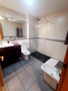 een badkamer met een toilet, een wastafel en een douche bij Riaza Vacacional - Apartamento en el centro in Riaza
