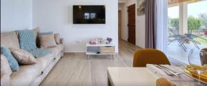 salon z kanapą i telewizorem w obiekcie Cvita & Gabi - kuća za odmor w mieście Privlaka