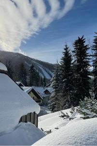 Príroda v okolí apartmánu