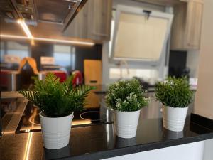 Kuchyňa alebo kuchynka v ubytovaní OverTheSea - PUEBLECITO Apartment