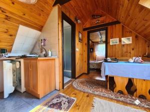 Η κουζίνα ή μικρή κουζίνα στο Dom nad Jeziorem +64 φωτογραφίες