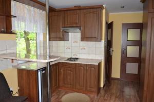 cocina con armarios de madera y encimera en Leśny Zakątek en Krasnobród